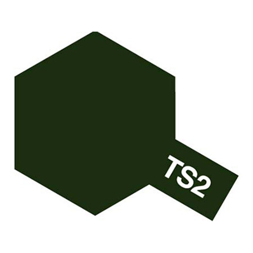 TS2 다크그린 무광