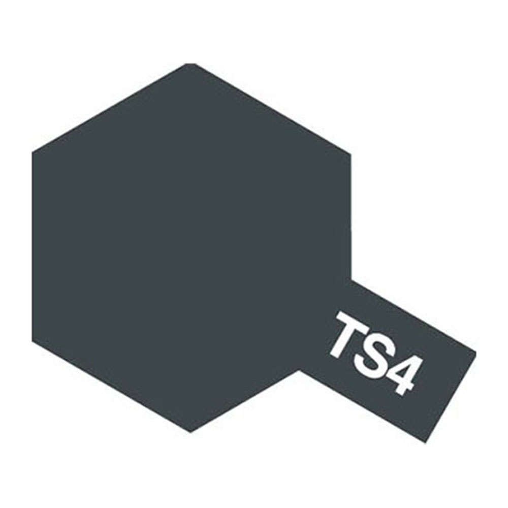 TS4 저먼그레이 무광