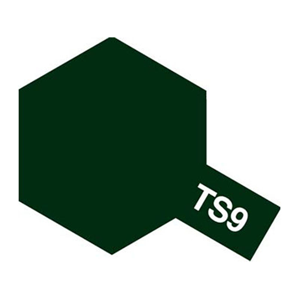 TS9 브리티쉬그린 유광