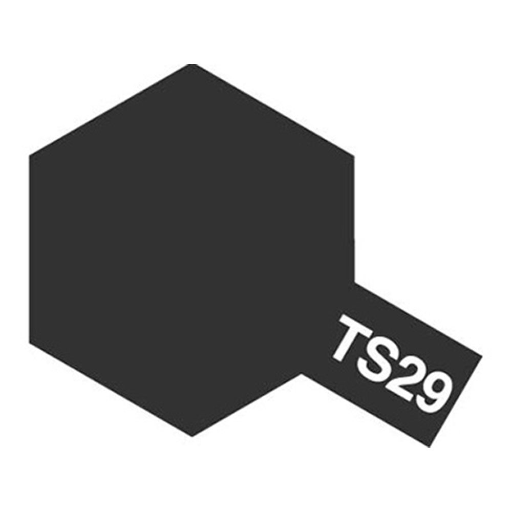 TS29 블랙 반광